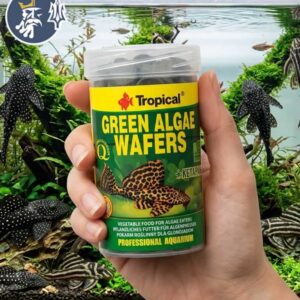 GREEN ALGAE WAFERS 100ml/45gr