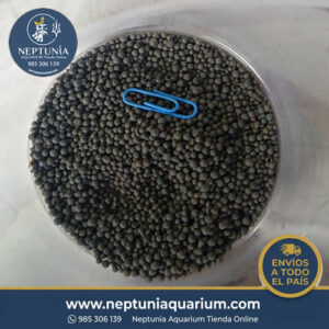 SUSTRATO GRIS 1-2MM (1 KG)