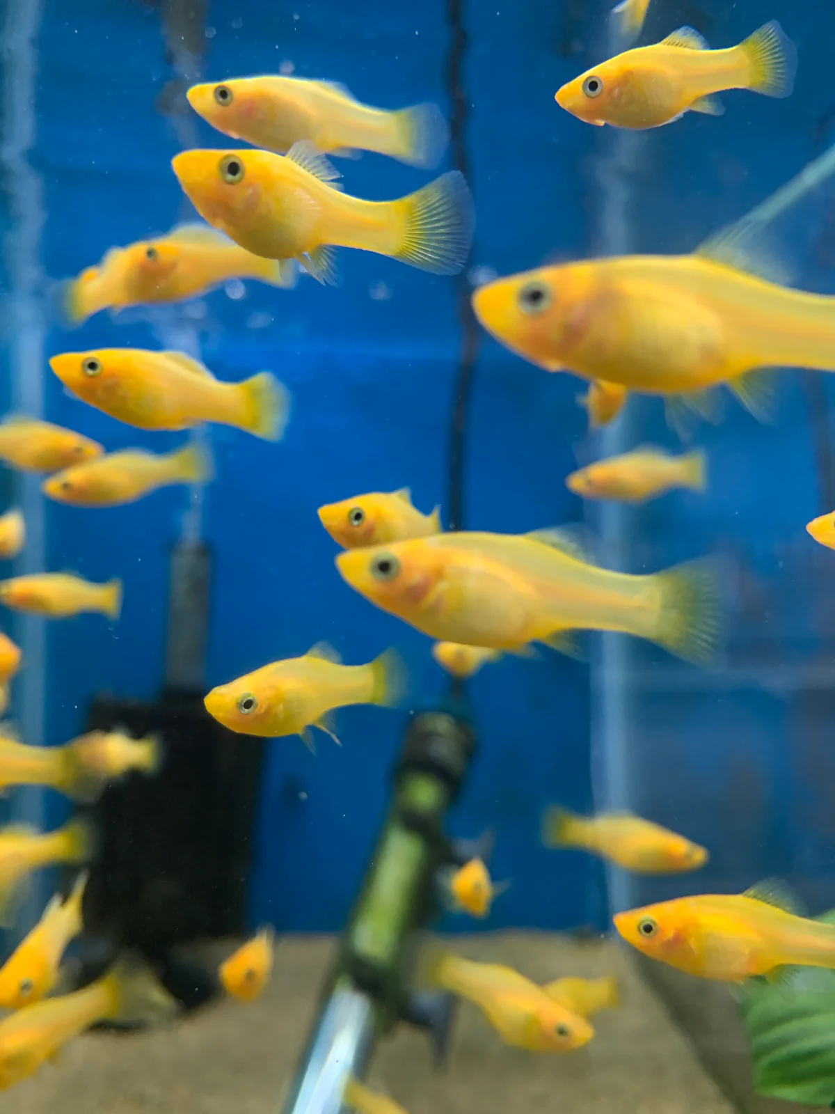 CA325D07-CF57-40C0-B99A-24ECD9B289B6