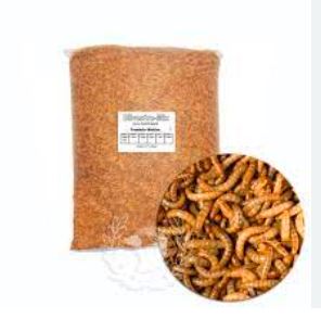 Tenebrios Deshidratado (20gr)