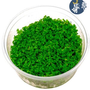 Montecarlo (1 Porción)