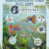 Guía de Mantenimiento Peces Guppys