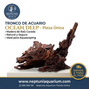Tronco A3535 - Ocean Deep