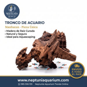 Tronco A4035
