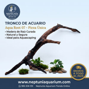 Tronco A50 - Aqua Root 07
