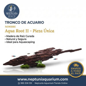 Tronco AB50- Aqua Root Brigde 11