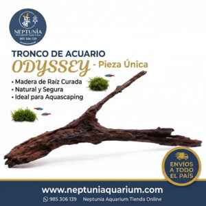 Tronco AB5020 - Odyssey 2