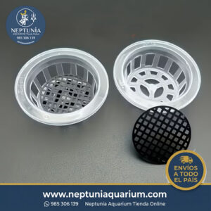 Cesta para plantar