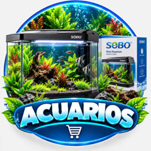 Peceras