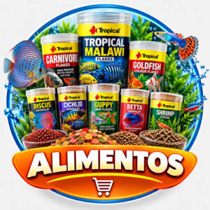Alimento