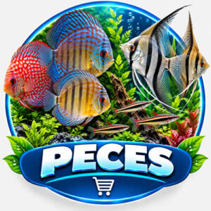 Peces