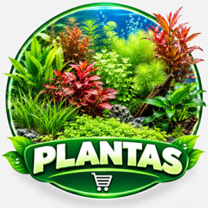 Plantas
